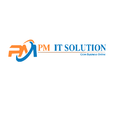 PM IT Solution avatar