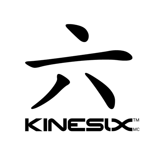 Kinesix Sports Inc avatar