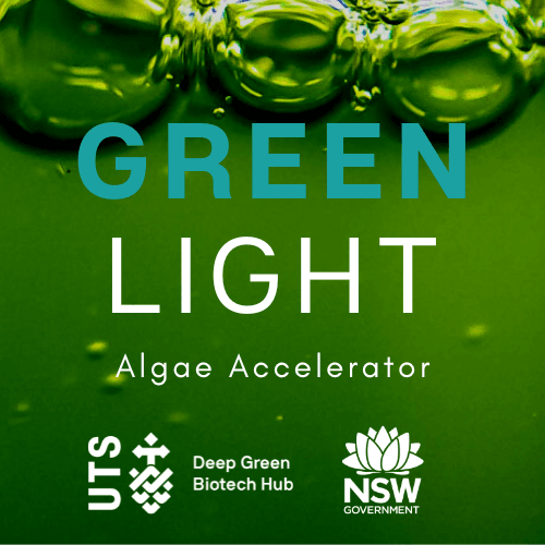 Green Light Algae Accelerator Program avatar